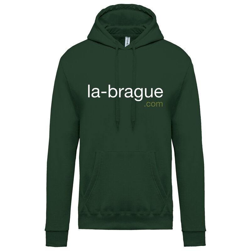 Image Sweat à capuche logo torse vert 2900